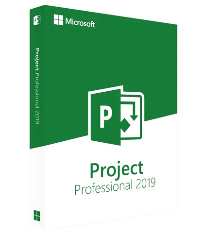 Microsoft Project 2019 professional